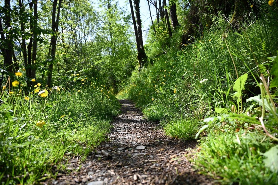 AGNOUEDE-┬®AliceLaffont_LuzTourisme(3)