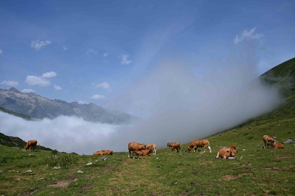 Zone pastorale