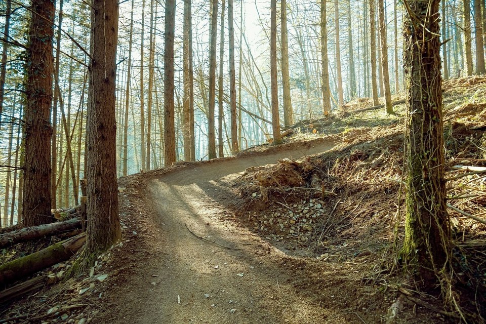 Circuit Enduro B11 Avé César