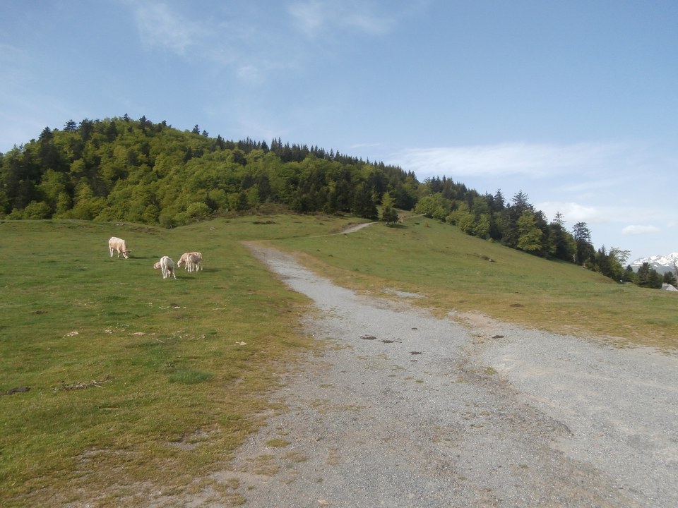 20200805-ete-activites-rando-plo-del-naou-©TPM--03