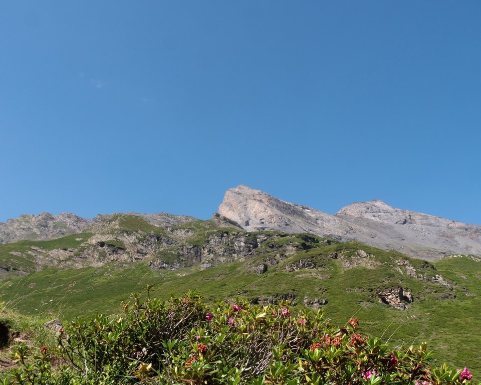 TRAIL 2 - Vallée du Badet