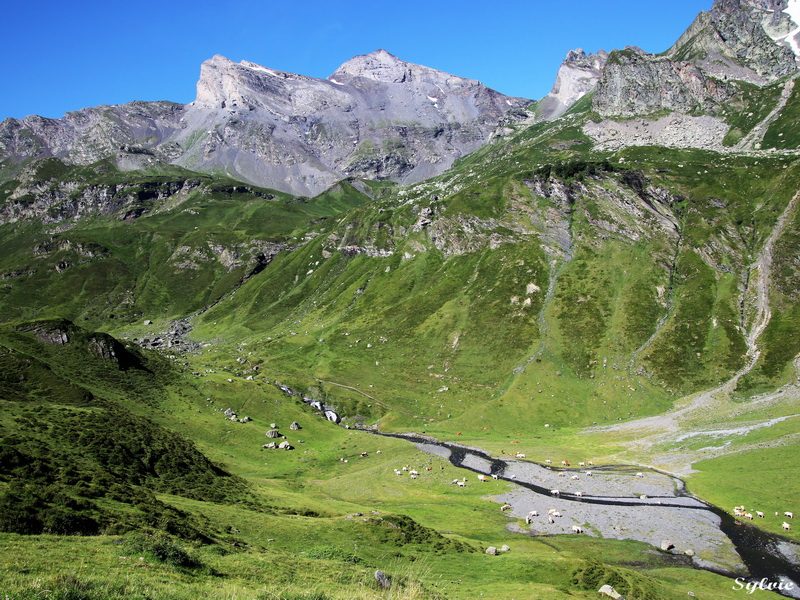 RANDO VIA TELESIEGE - Sentier du Soulecou