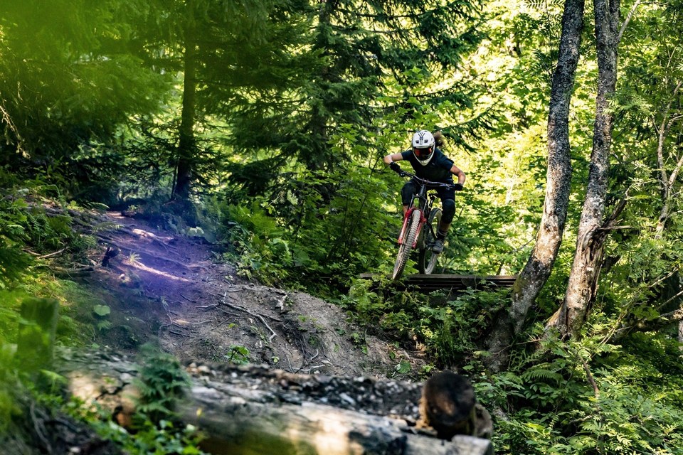 VTT 33 - Goupil