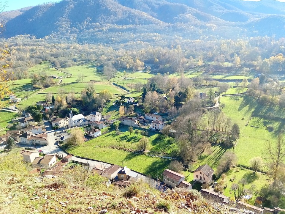 Le chemin des biches