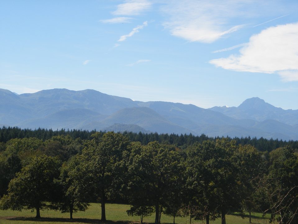 Tour des Salles