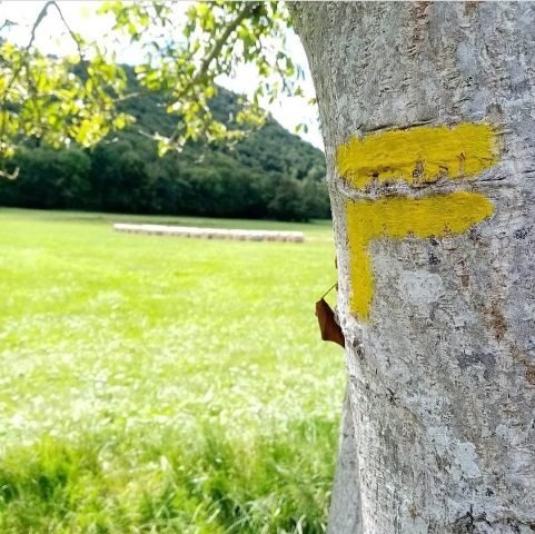 sur les chemins pyrénéens - Aventignan [65]