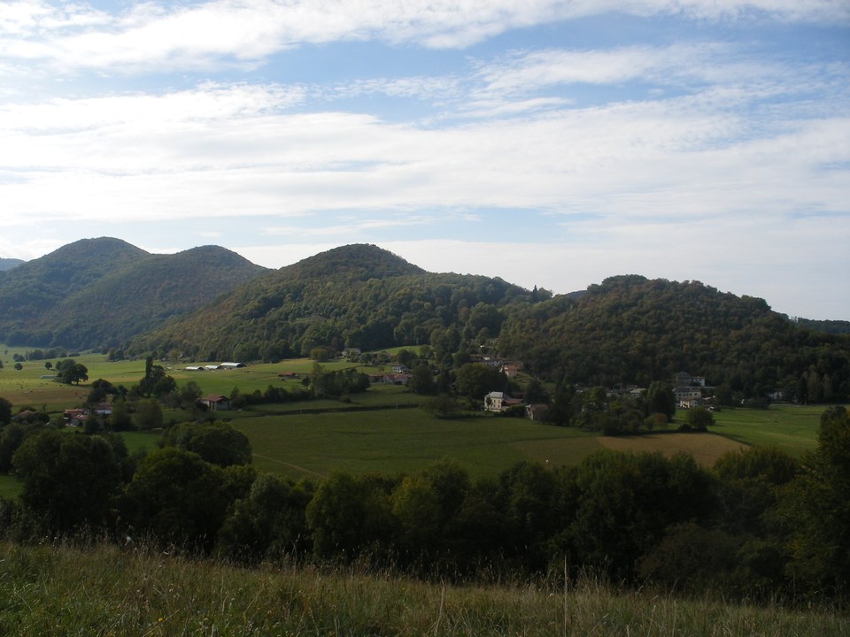 Ôcybelles Bleue