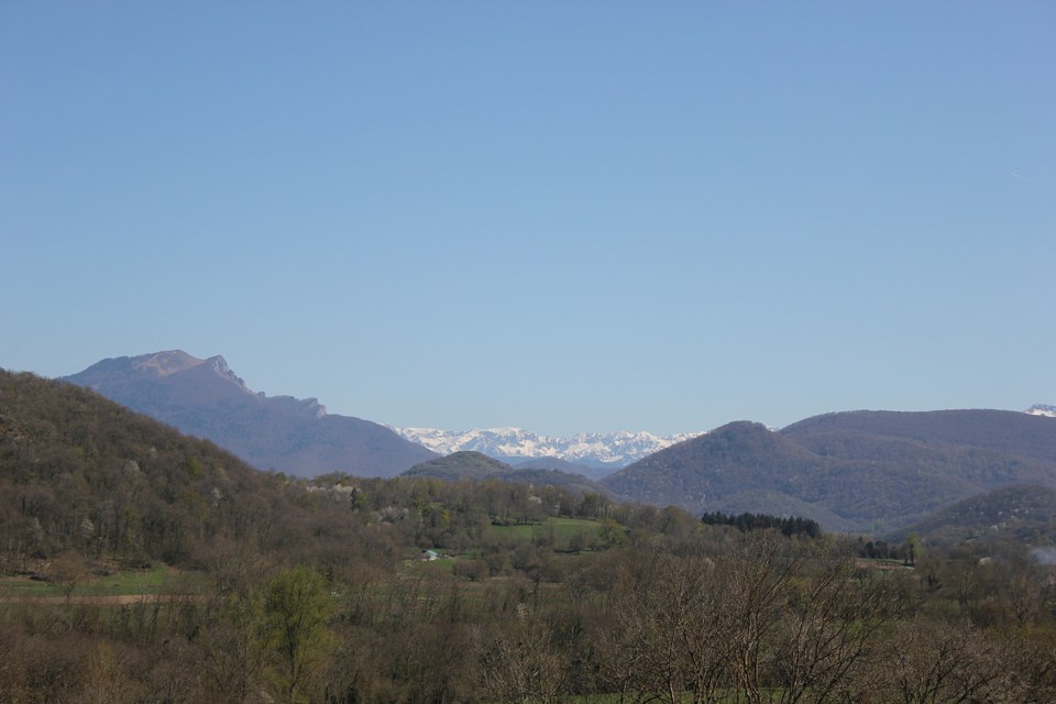 Gargas Bleue