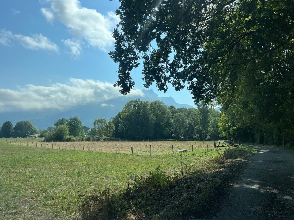 Forêt de Mayroue