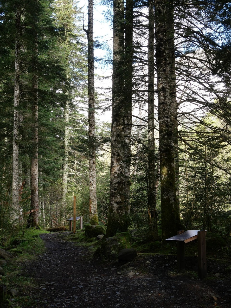P1091420