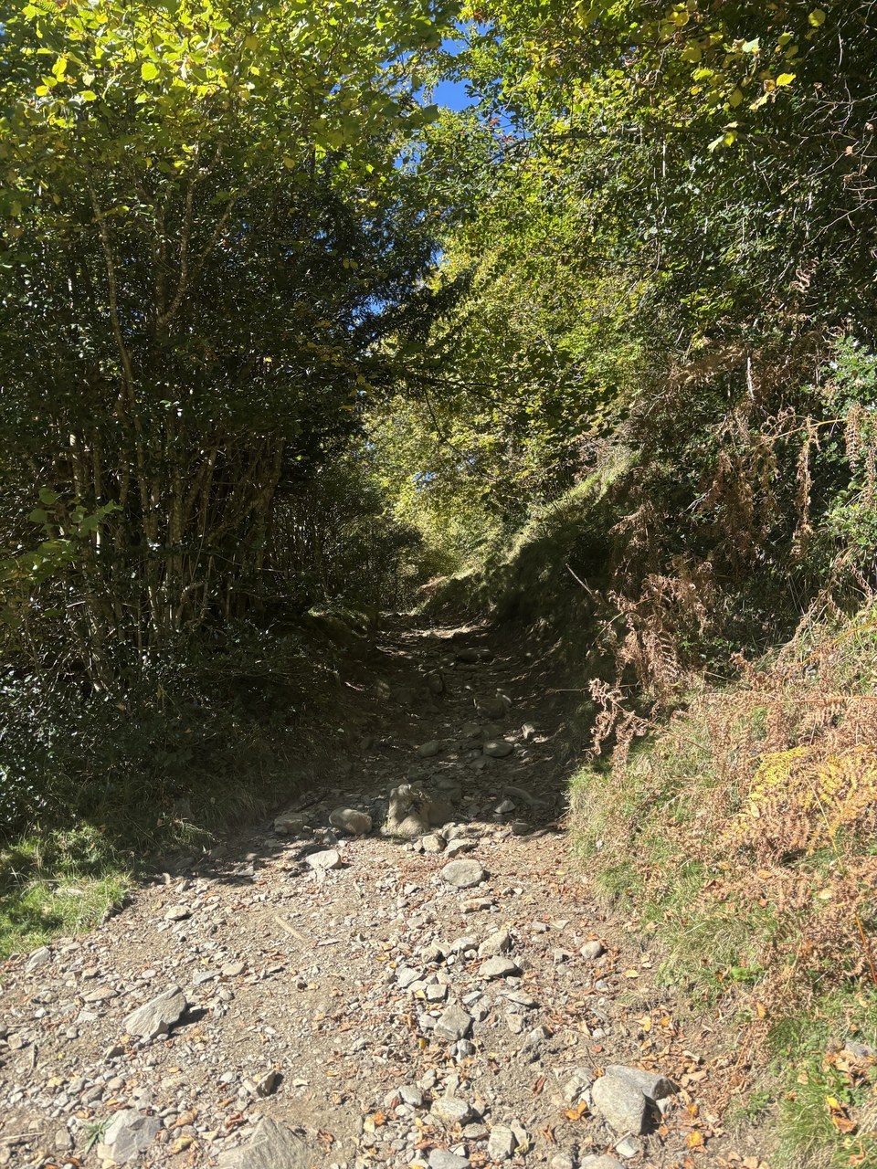 chemin val d'arizes