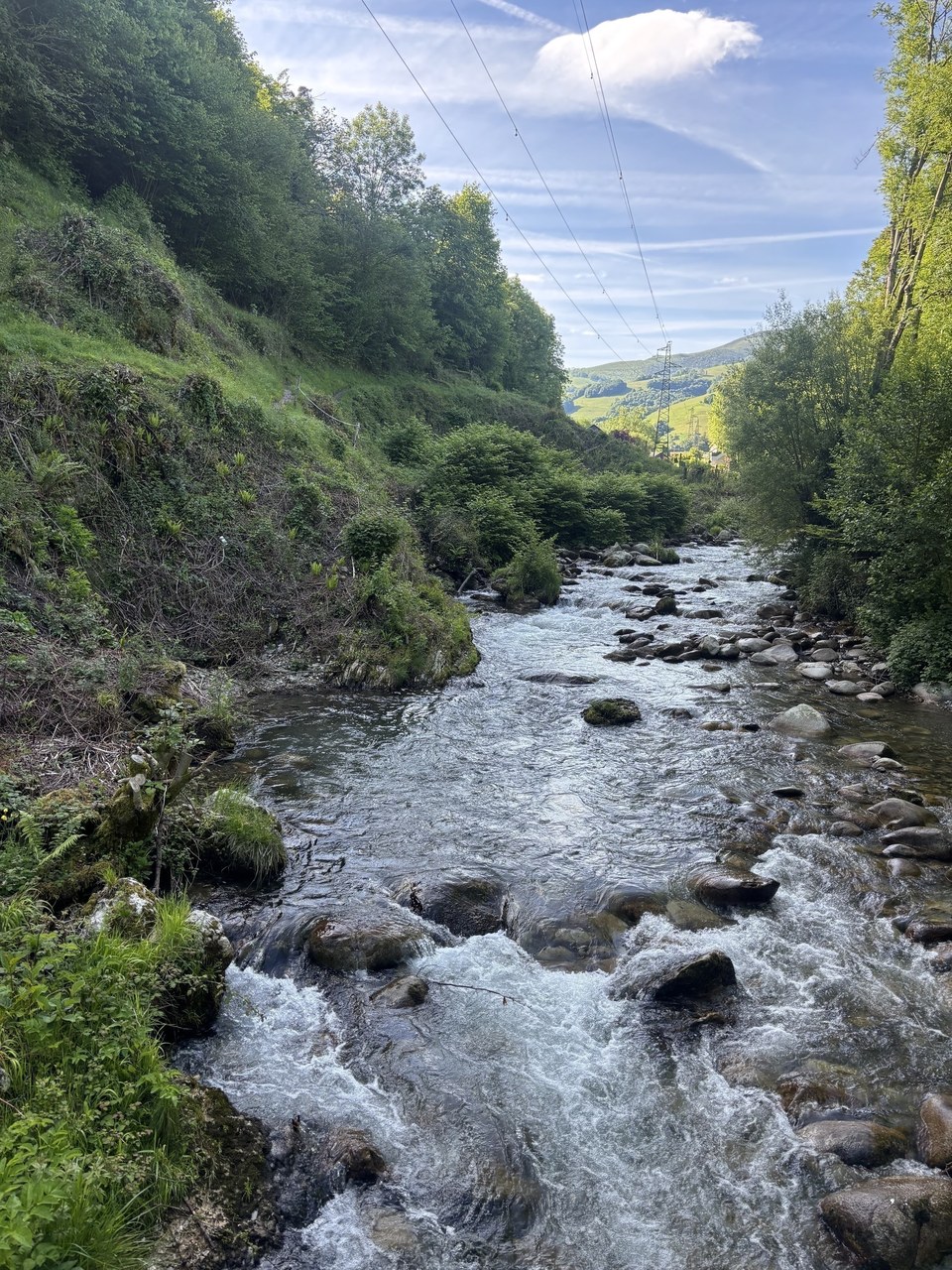 IMG_3375