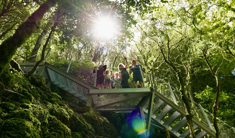 La progression sur le sentier est facilitée par la pose de marches d’escalier, de rambardes...