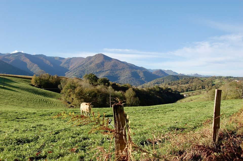 Les coteaux