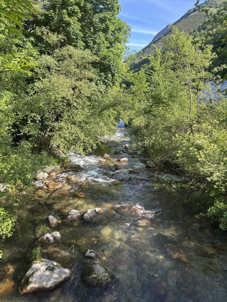 IMG_3370