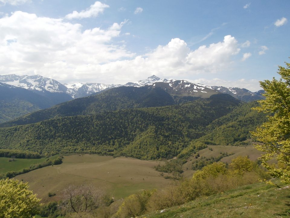 Le Monné