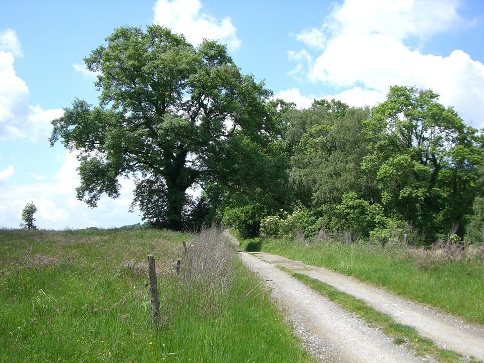 Chemin Henri IV