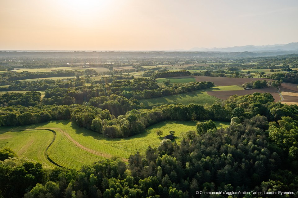 DJI_0305
