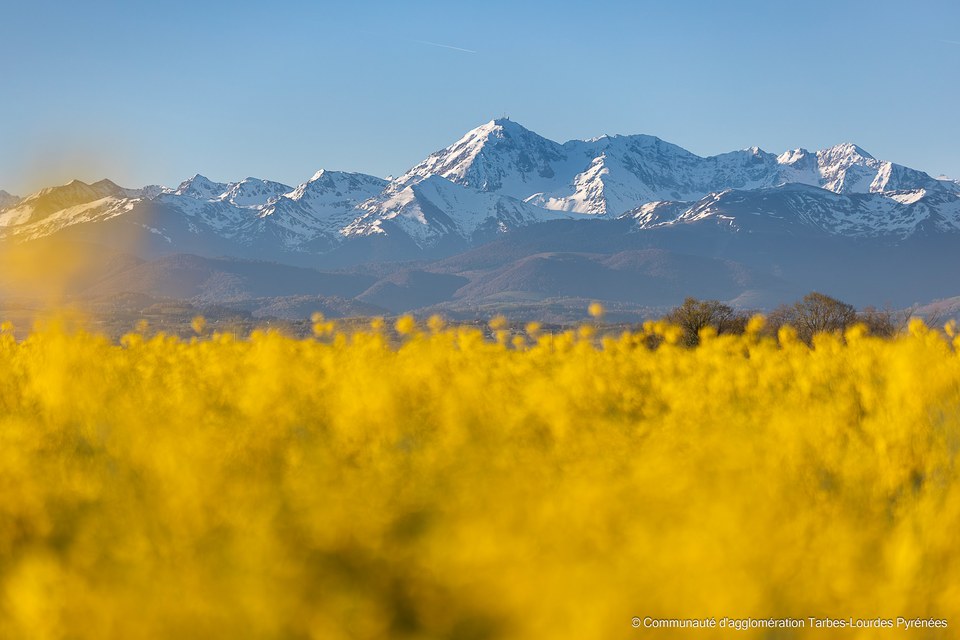 Vue sur les Pyrénées depuis la plaine d'Ibos