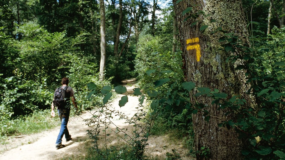 Les Bois de Labarthe