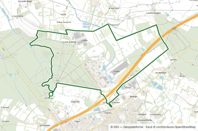 Les landes de Beaugé