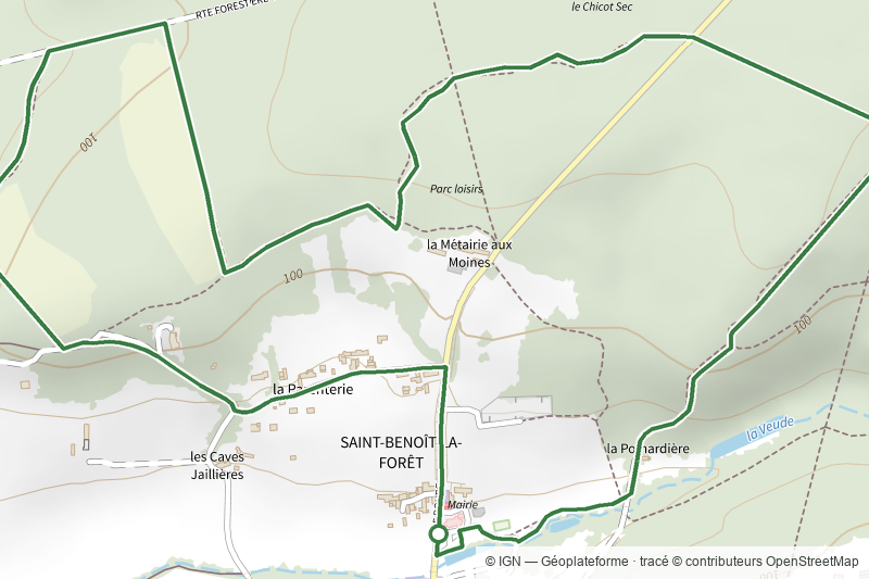 Saint-Benoît-la-Forêt : De l'arbre au bois