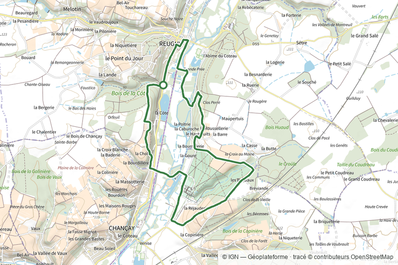 Vignes et Brenne