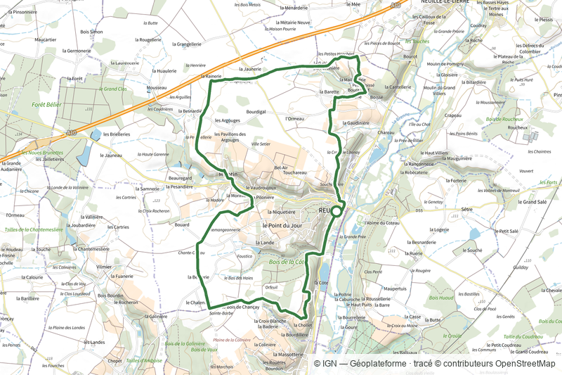 Le Chêne Vert