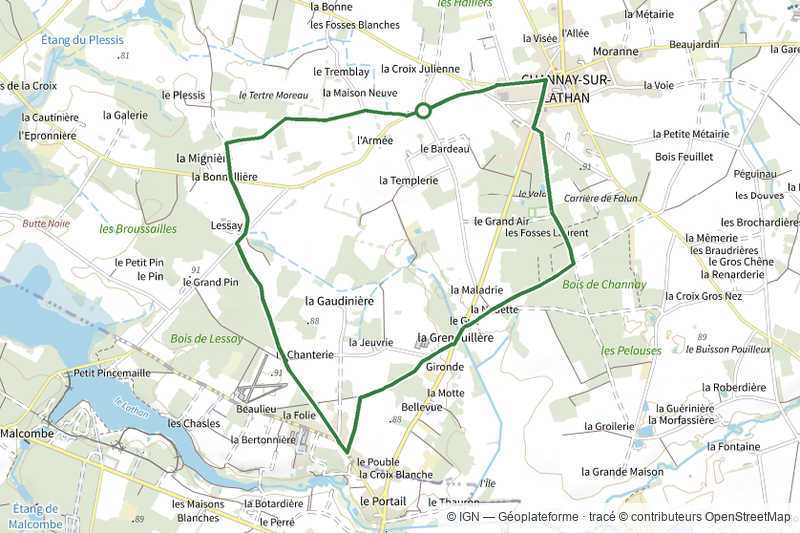 Le bois de Channay - Channay-sur-Lathan
