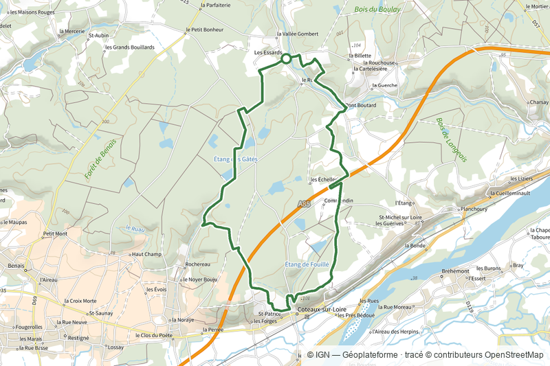 Landes et Forêts - Coteaux-sur-Loire
