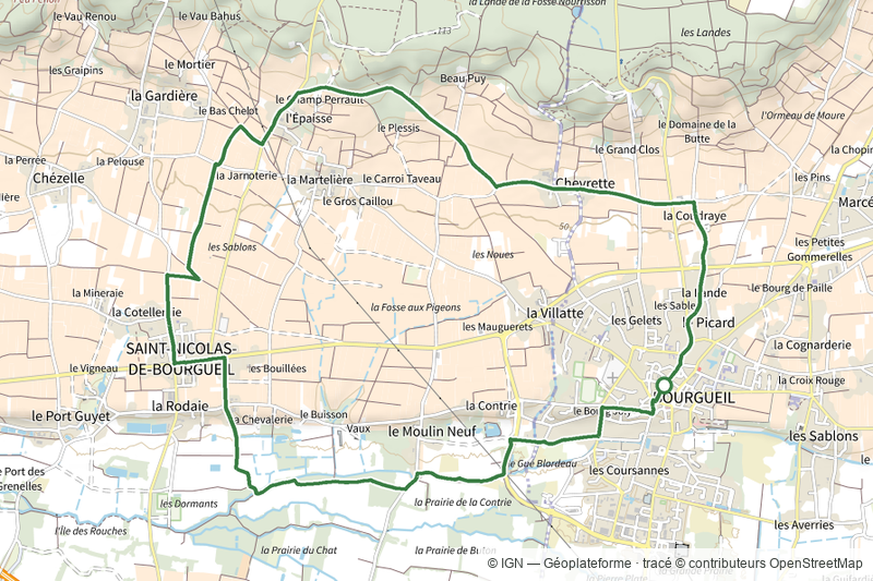 Chevrette - Bourgueil – Saint-Nicolas-de-Bourgueil