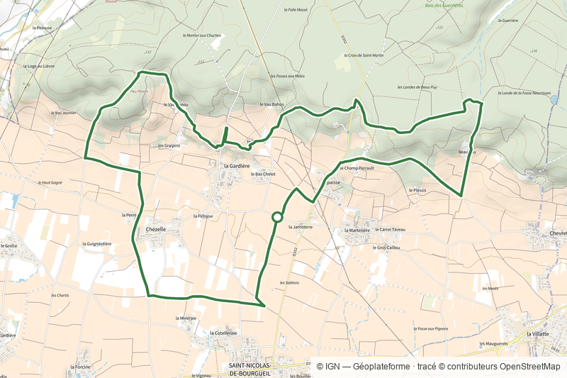 Peu Penon - Saint-Nicolas-de-Bourgueil