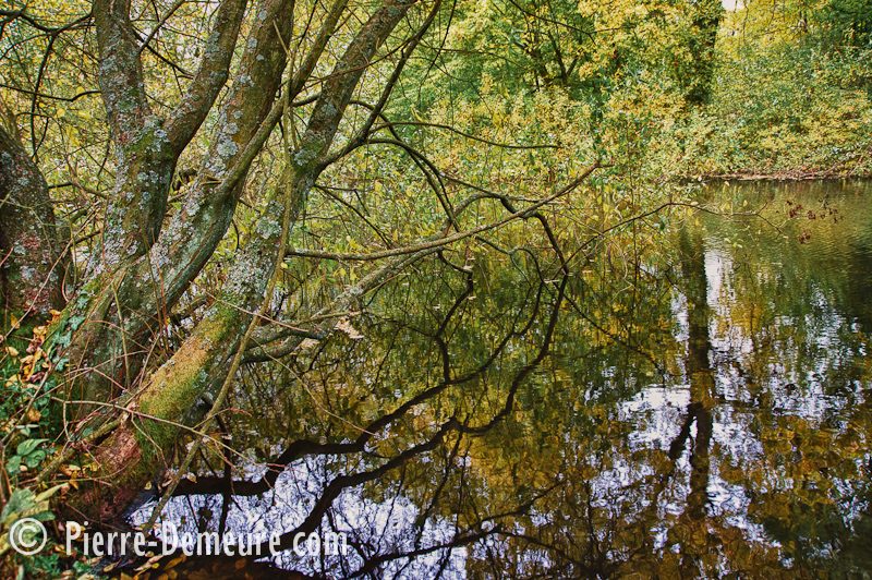 Le Bois de la Ventelette en VTT