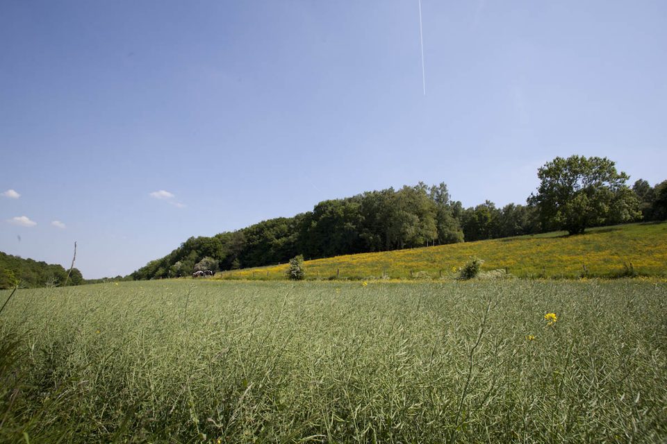 Le chemin des écoliers en VTT