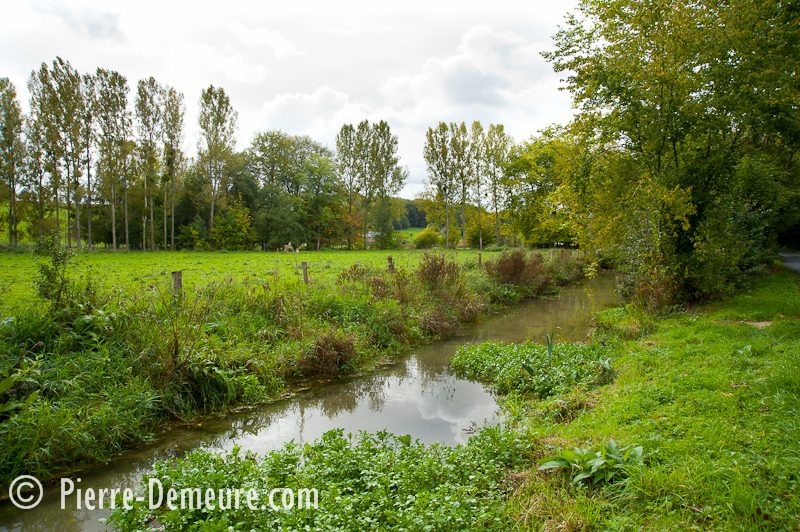 Le circuit de l'eau