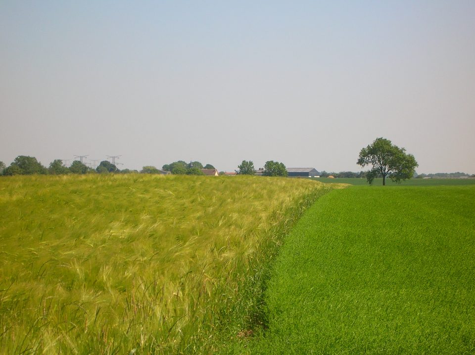 Vieux-Manoir - Cultures