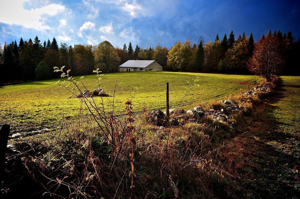 Ferme à Morbier