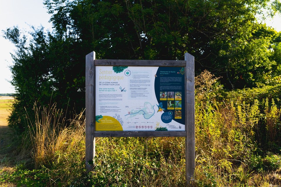 Zone humide de Chissey-sur-Loue