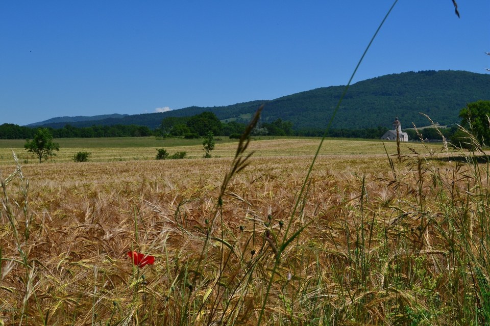 Boucle 17 : Vallée du Suran