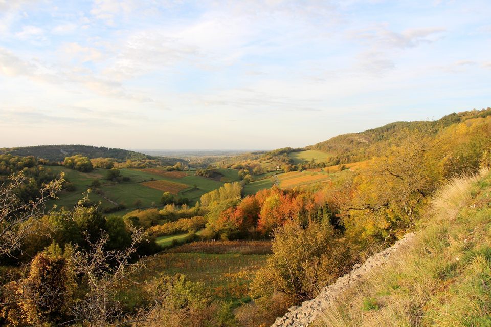 Vignes autour de Rotalier