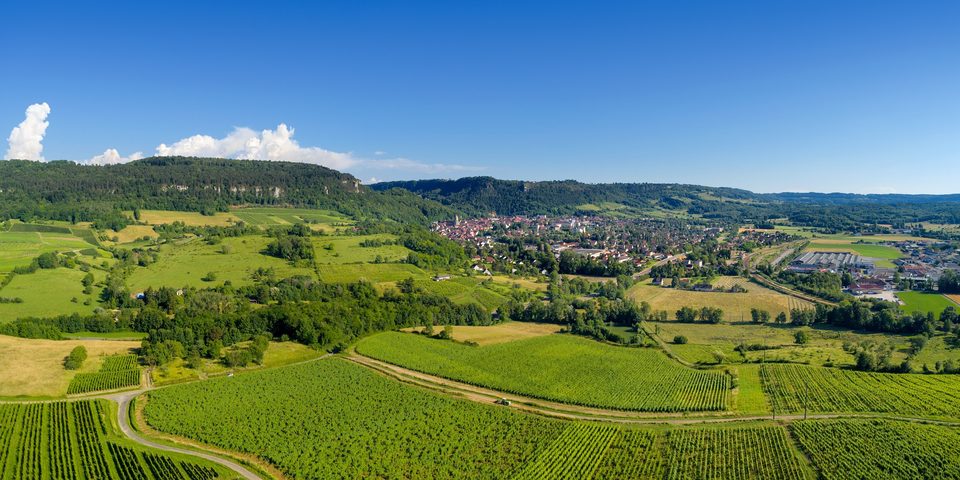 Poligny vue depuis les vignes