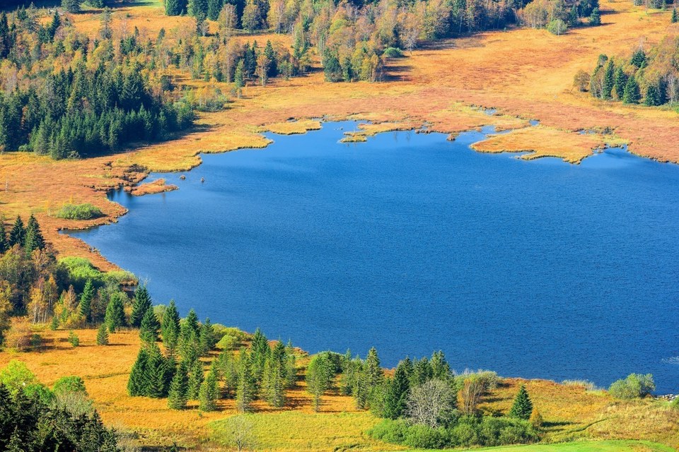 Tour des Lacs de Bellefontaine et des Mortes - 18B