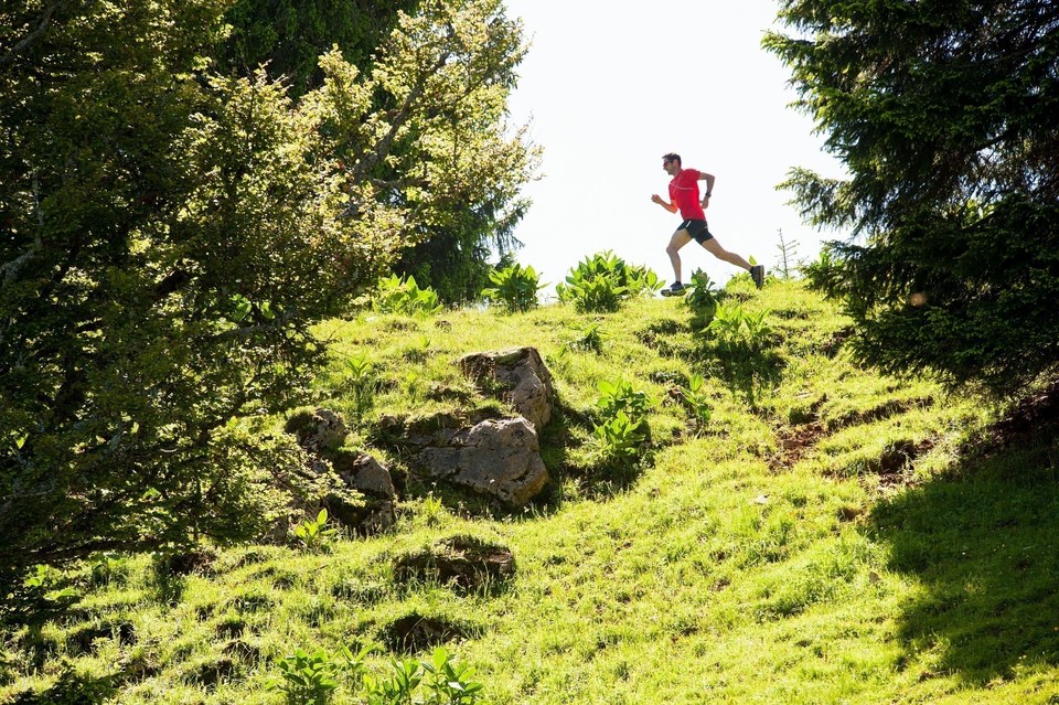 Le Tour du Plateau du Lizon - 18R