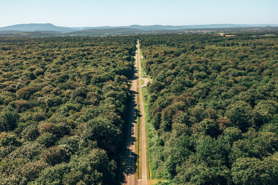 Voie des Salines, Voie Verte dans la Forêt de Chaux