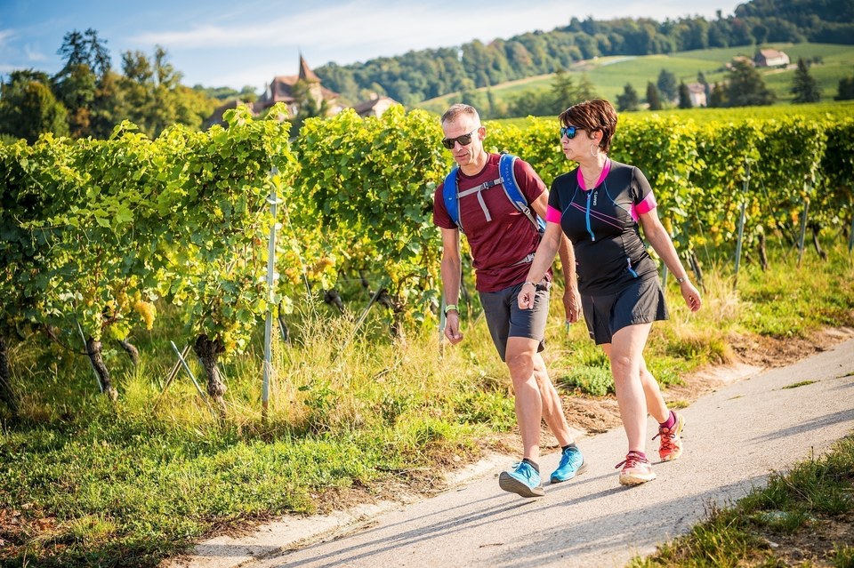 Echappée Jurassienne - Vignoble de la Côte