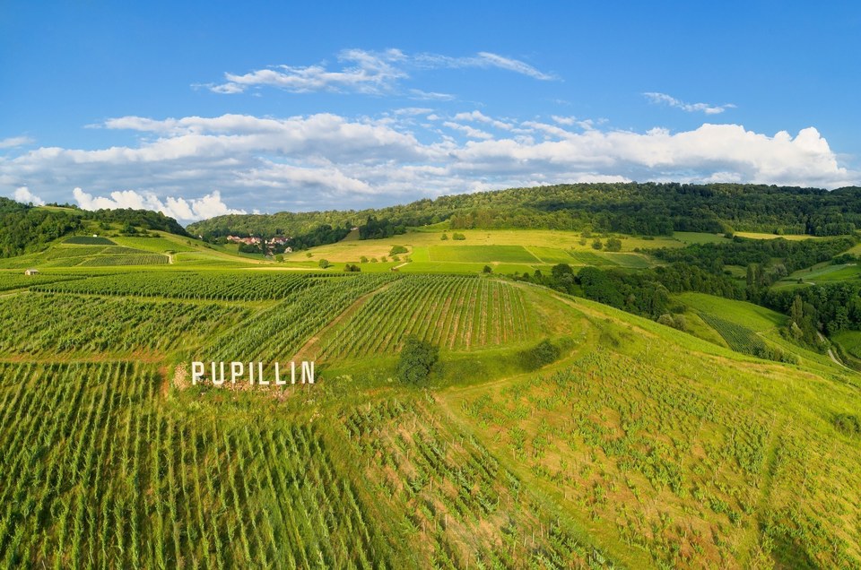 Echappée Jurassienne Pédestre - Étape 6 : Les Planches Pres Arbois - Poligny