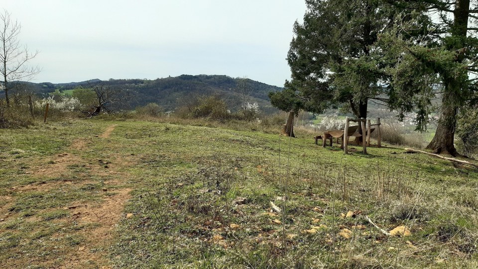La Côte de Mancy