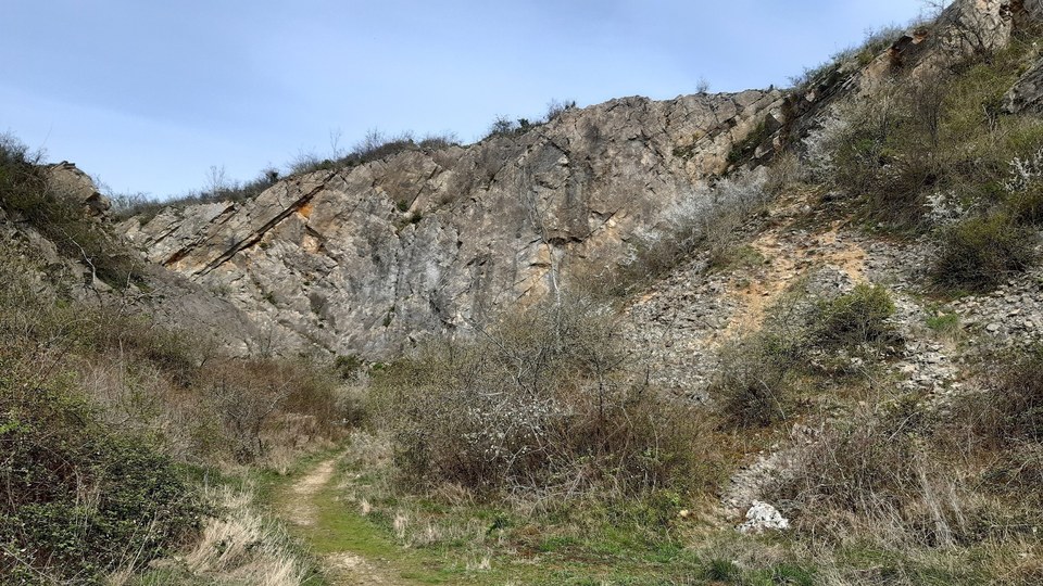 Falaise de Mancy