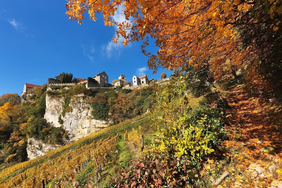 Sentier d'arrivée à Chateau-Chalon en Automne