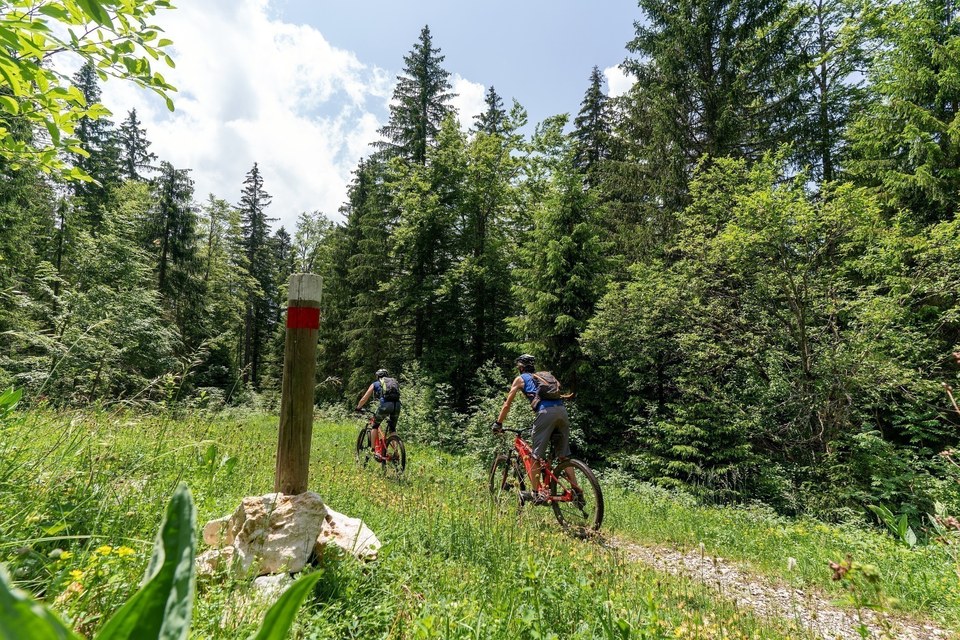 Sur les Gîts / Chapelle-des-Bois - 31B